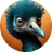 d2emu.com